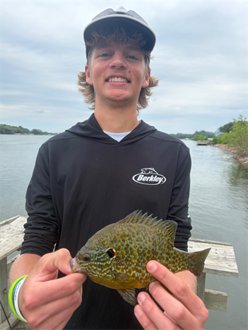 KADON STEIN's Pumpkinseed 9inch, 05-30-26
