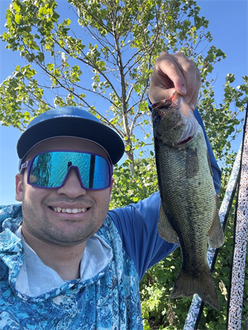 DYLAN's Largemouth Bass