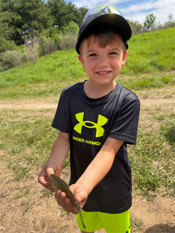Maverick's Bluegill