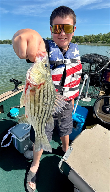 Owen Hergert's Yellow Bass 12inch, 06-06-26