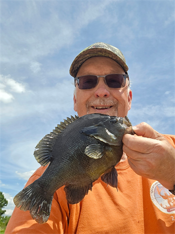 DOUGLAS FARRELL's Green Sunfish 10inch, 06-06-26
