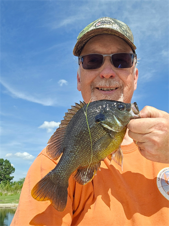 DOUGLAS FARRELL's Green Sunfish 10inch, 06-07-26
