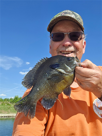 DOUGLAS FARRELL's Green Sunfish 10.25inch, 06-06-26