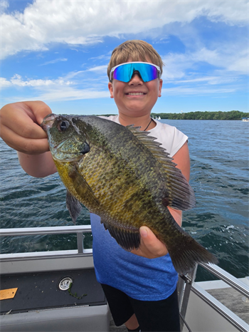 Cameron Jorgensen's Bluegill 10.1inch, 06-10-26