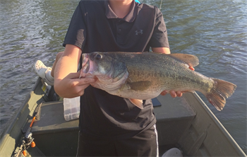 Christian Delzer's Largemouth Bass 20inch, 06-10-26