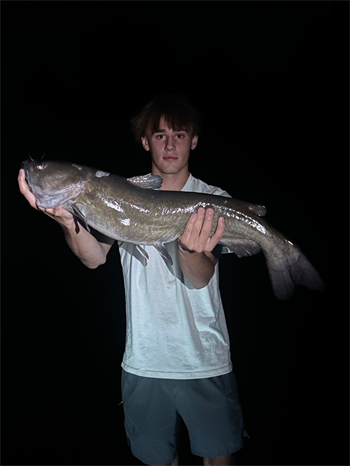 Taylor Hall's Channel Catfish 30inch, 06-11-26