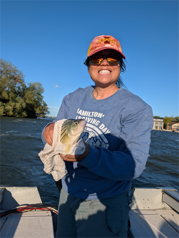 ADINA HOWE's Yellow Bass 10.5inch, 06-11-26