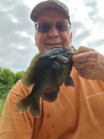 DOUGLAS FARRELL's Green Sunfish 10inch, 06-13-26
