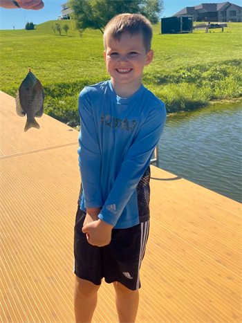 Ellis's Bluegill