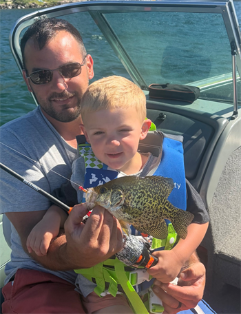 Ross's Black Crappie