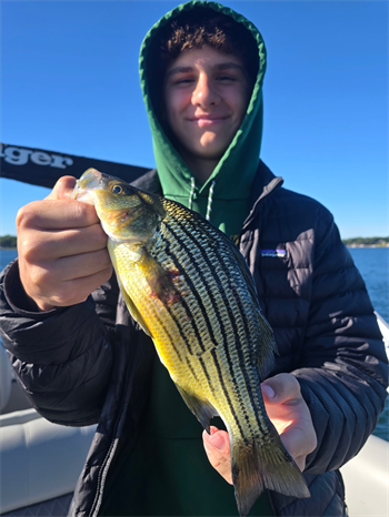 Kellen Block's Yellow Bass 12.75inch, 06-16-26