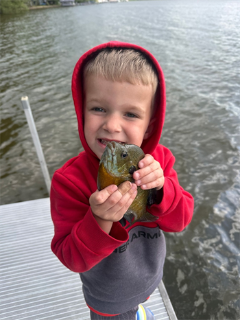 Milo's Bluegill