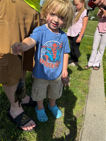 Oliver's Bluegill