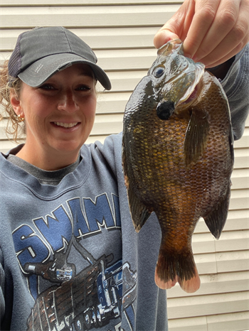 HILLARY GINGERICH's Bluegill 10inch, 06-19-26