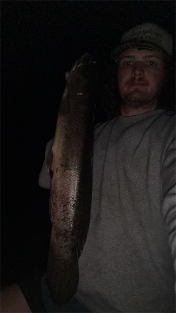 skyler rawlings's Bowfin 27inch