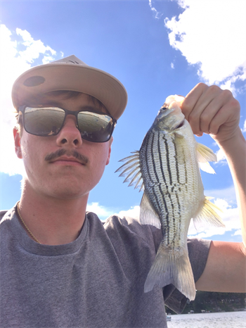 FRANK FETZER IV's Yellow Bass 10.75inch, 06-20-26