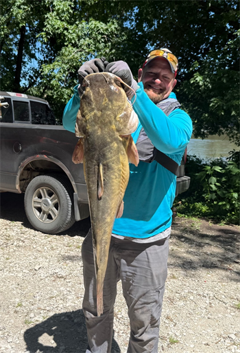KEVIN STURM's Flathead Catfish 36inch, 06-21-26