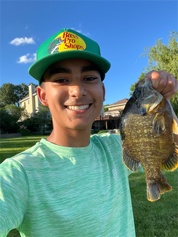 Nikhil Patel's Green Sunfish 11inch, 06-22-26