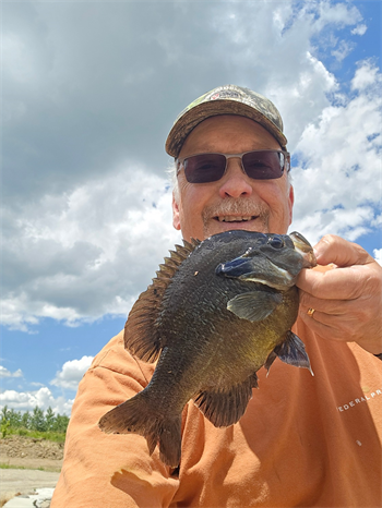 DOUGLAS FARRELL's Green Sunfish 10inch, 06-22-26