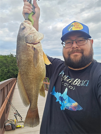 AARON Theisen's Freshwater Drum 25inch, 06-22-26