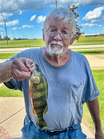 RICK OLSON's Yellow Perch 12inch, 06-24-26