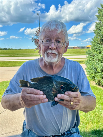 RICK OLSON's Redear Sunfish 11.5inch, 06-24-26