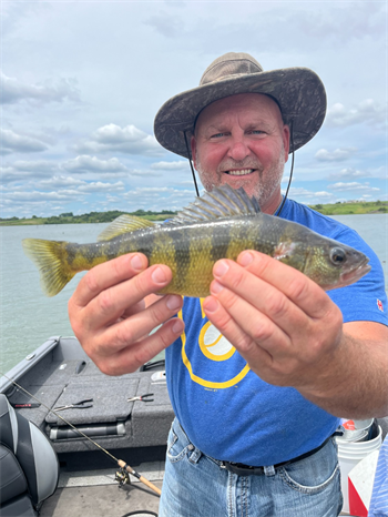JOSEPH VOGEL's Yellow Perch 12.75inch, 06-23-26