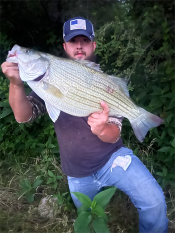 CALLEN JAHNKE's Wiper (Hybrid Striped Bass) 25inch, 06-27-26