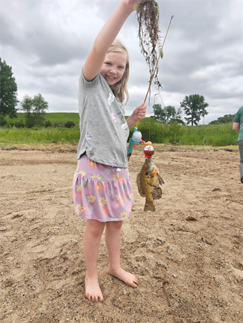Lucy's Bluegill