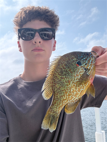 Kellen Block's Pumpkinseed 9inch, 06-28-26