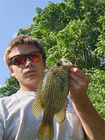 TUCKER HEABERLIN's Rock Bass 10.5inch, 06-29-26