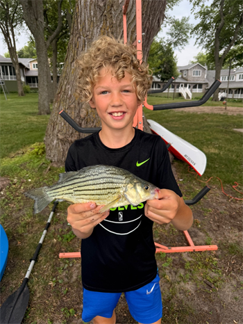 Oliver Peterson's Yellow Bass 11.75inch, 06-30-26