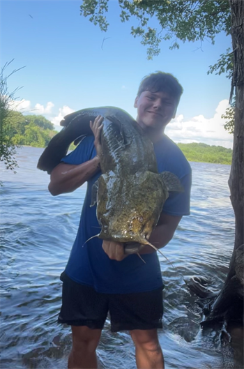 SHEMUEL MALLY's Flathead Catfish 37.5inch, 07-05-26