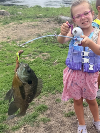 Amara's Bluegill