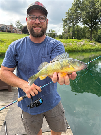 KIRK STOUT's Yellow Perch 13.5inch, 07-09-26