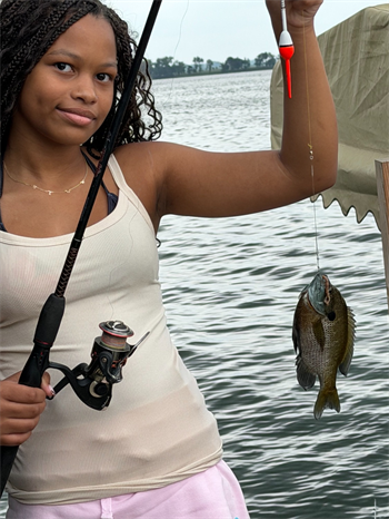 Nia's Bluegill