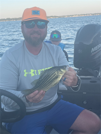 BRYAN SHELTON's Yellow Bass 11.5inch