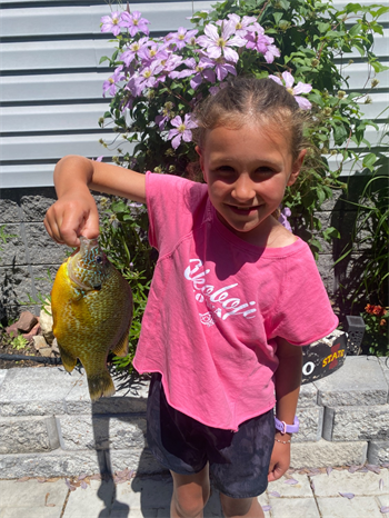 Tierzah Gingerich's Pumpkinseed 9inch