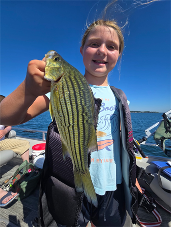 Julia Kirk's Yellow Bass 11.75inch