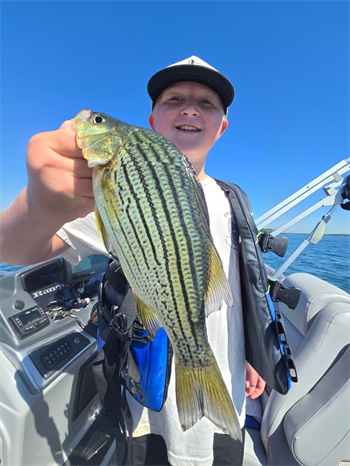 Connor Kirk's Yellow Bass 11.25inch
