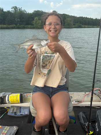 Alexandria's Wiper (Hybrid Striped Bass)