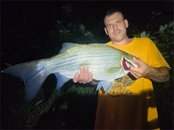 Daniel Kurth's Wiper (Hybrid Striped Bass) 24inch, 07-14-26