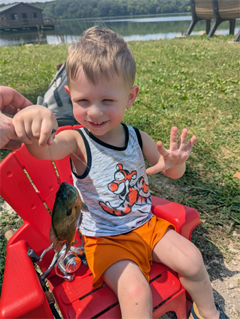 Dylan's Bluegill