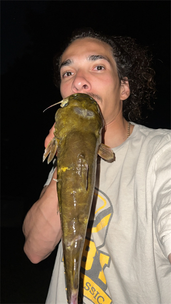 WILLIe VEAL III's Black Bullhead 16.5inch, 07-21-26