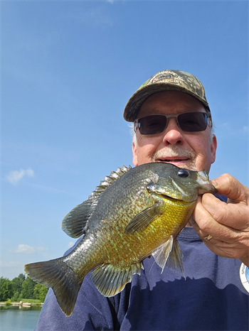 DOUGLAS FARRELL's Green Sunfish 10.5inch, 07-21-26