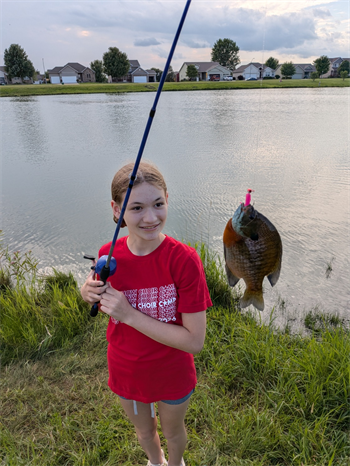 Zoey's Bluegill