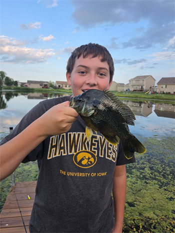 Wesley THOMPSON's Green Sunfish 10inch, 07-22-26