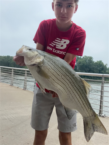 Owen Riepe's Wiper (Hybrid Striped Bass) 24inch, 07-25-26
