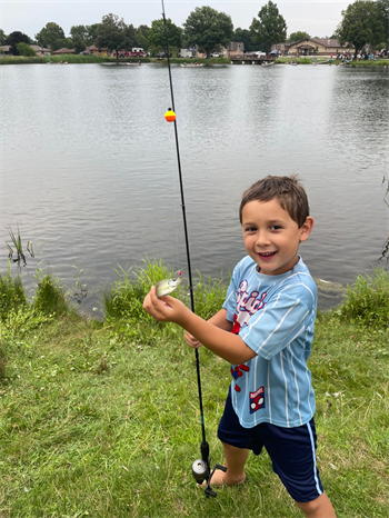 Michael's Bluegill