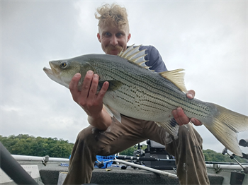 Caden Hudson's Wiper (Hybrid Striped Bass) 25.5inch, 07-31-26